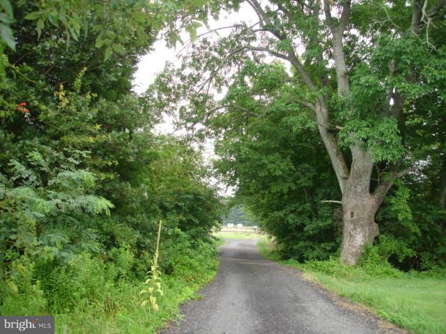 11353 Barnes Road Catlett, VA 20119 - Photo 29 of 30 View
