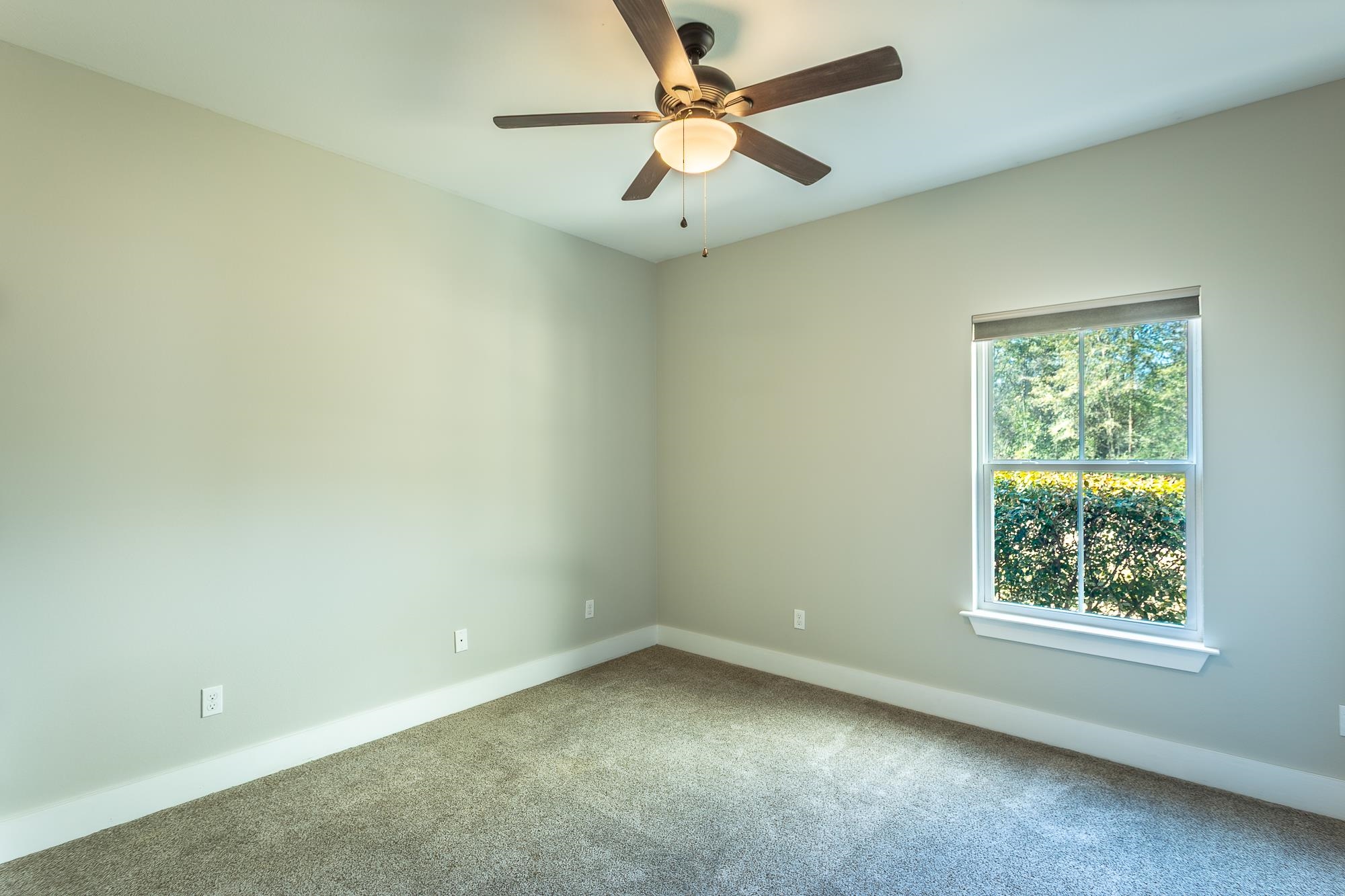 230 Martin Farms Road Crawfordville, FL 32327 - Photo 13 of 42