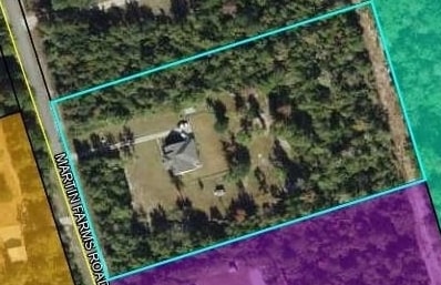 230 Martin Farms Road Crawfordville, FL 32327 - Photo 33 of 42