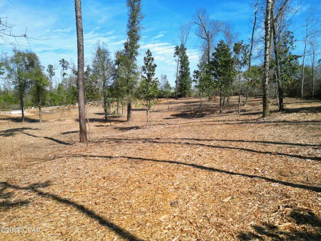 $35,900 | 0 Donna Drive, Marianna, FL 32446