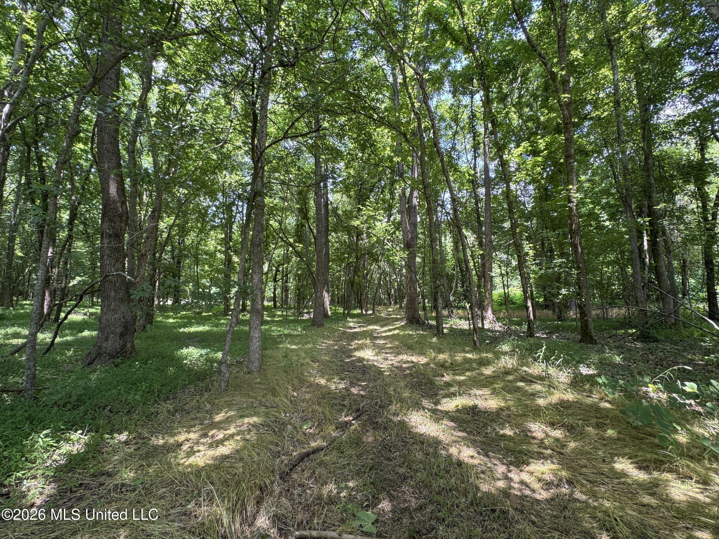 884 Avant Road Crenshaw, MS 38621 - Photo 124 of 154 6dbyicr69