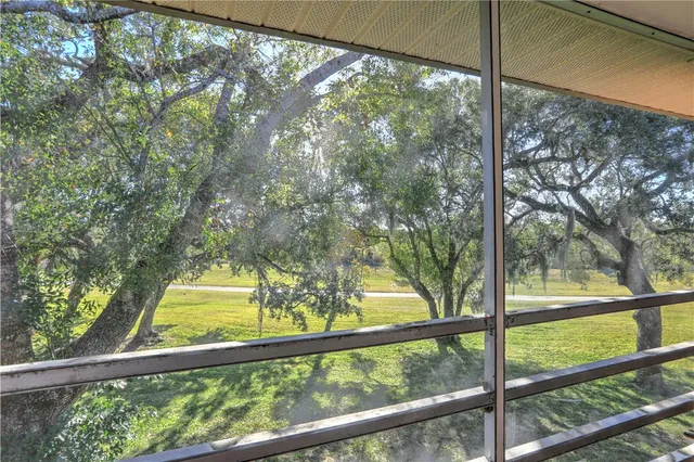 a view of a trees from a balcony