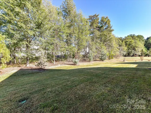 a view of yard with large trees