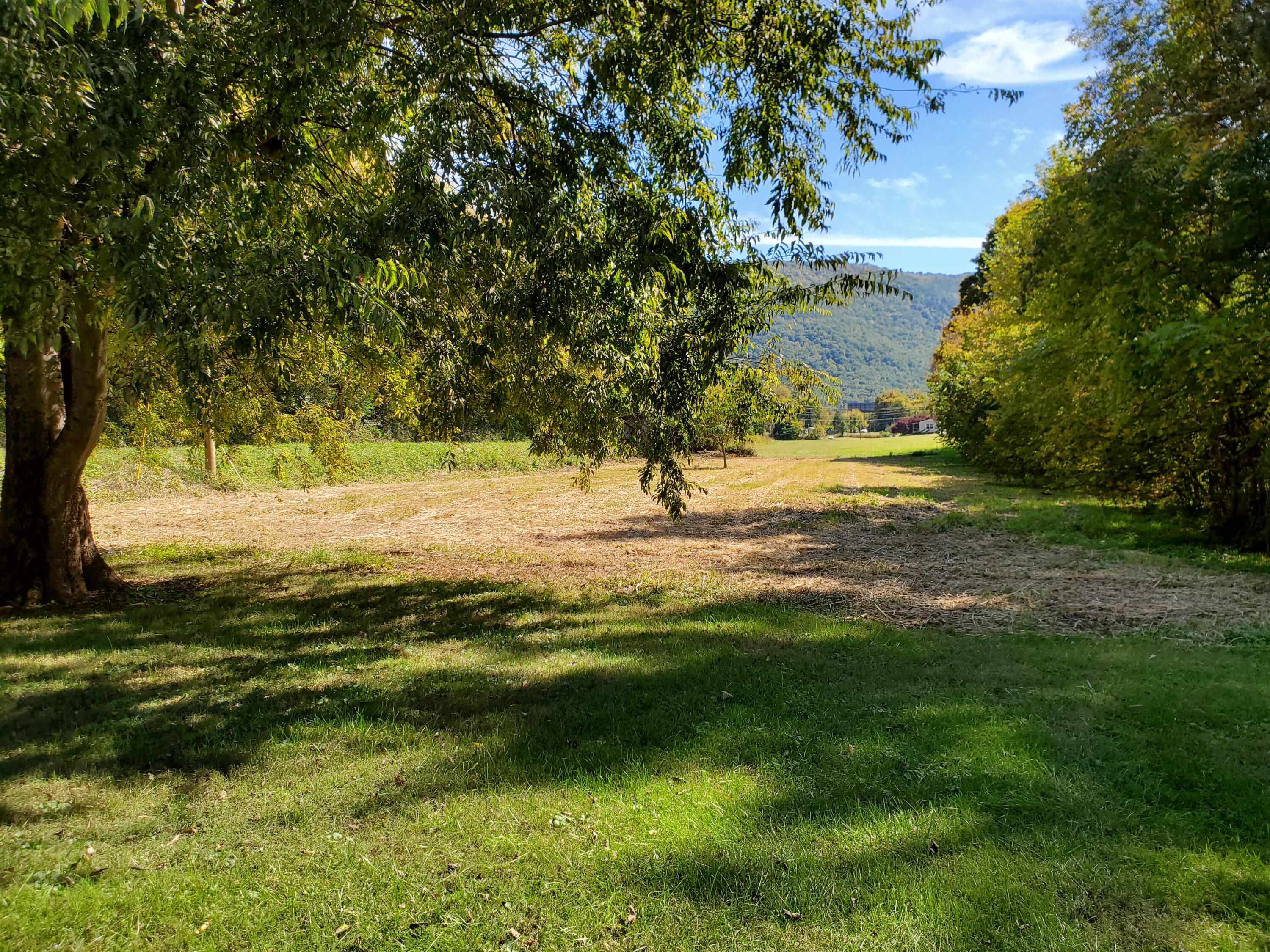 2425 Hartford Road Cosby, TN 37722 - Photo 61 of 70 20221009_135129