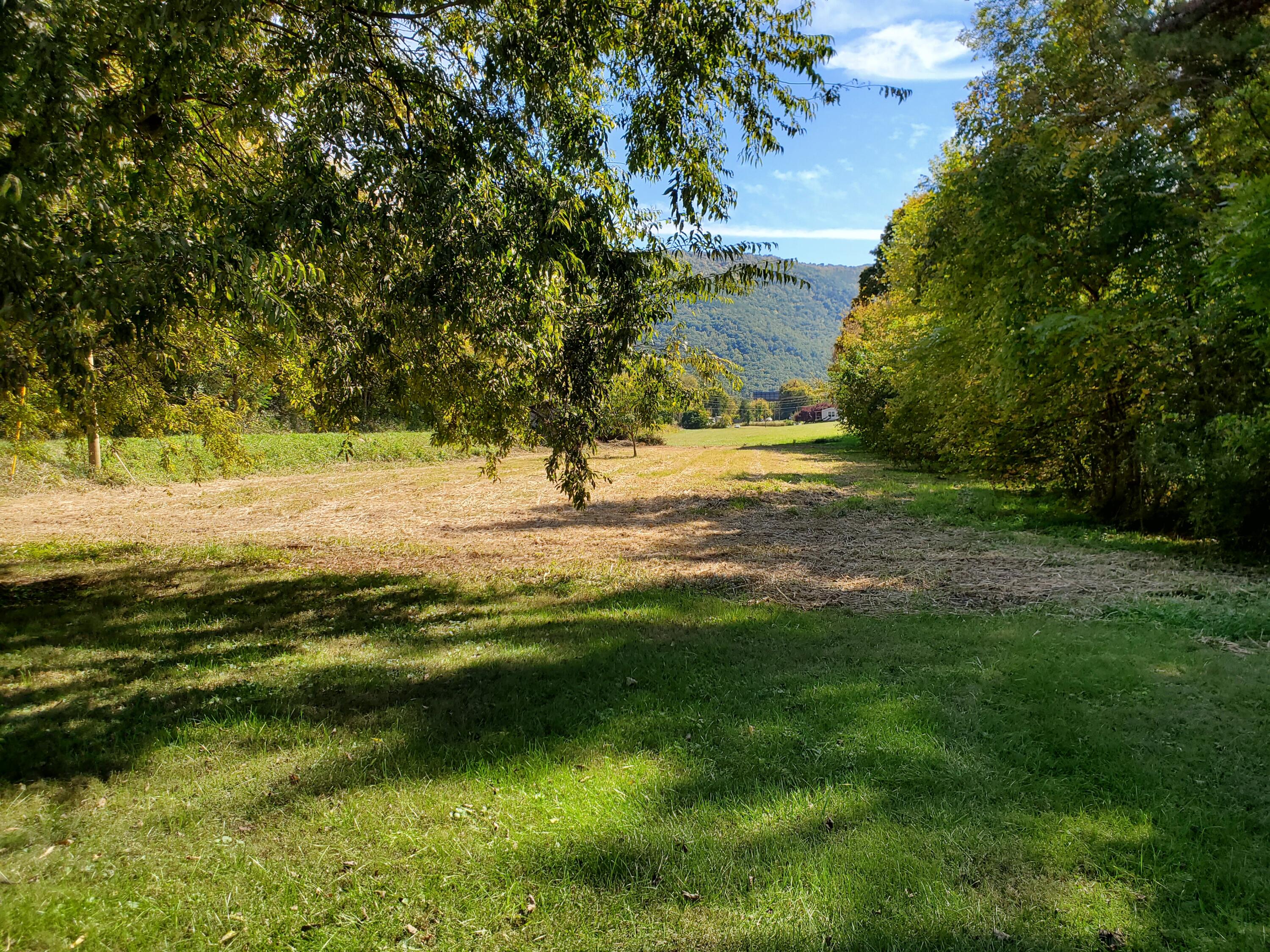 2425 Hartford Road Cosby, TN 37722 - Photo 62 of 70 20221009_135127