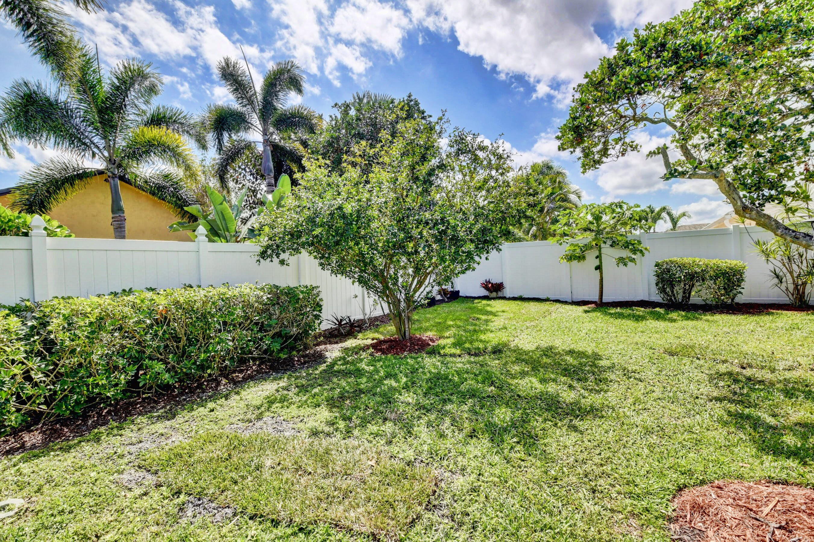 4192 Woods End Road Boca Raton, FL 33487 - Photo 47 of 63 a view of a garden with plants and large trees