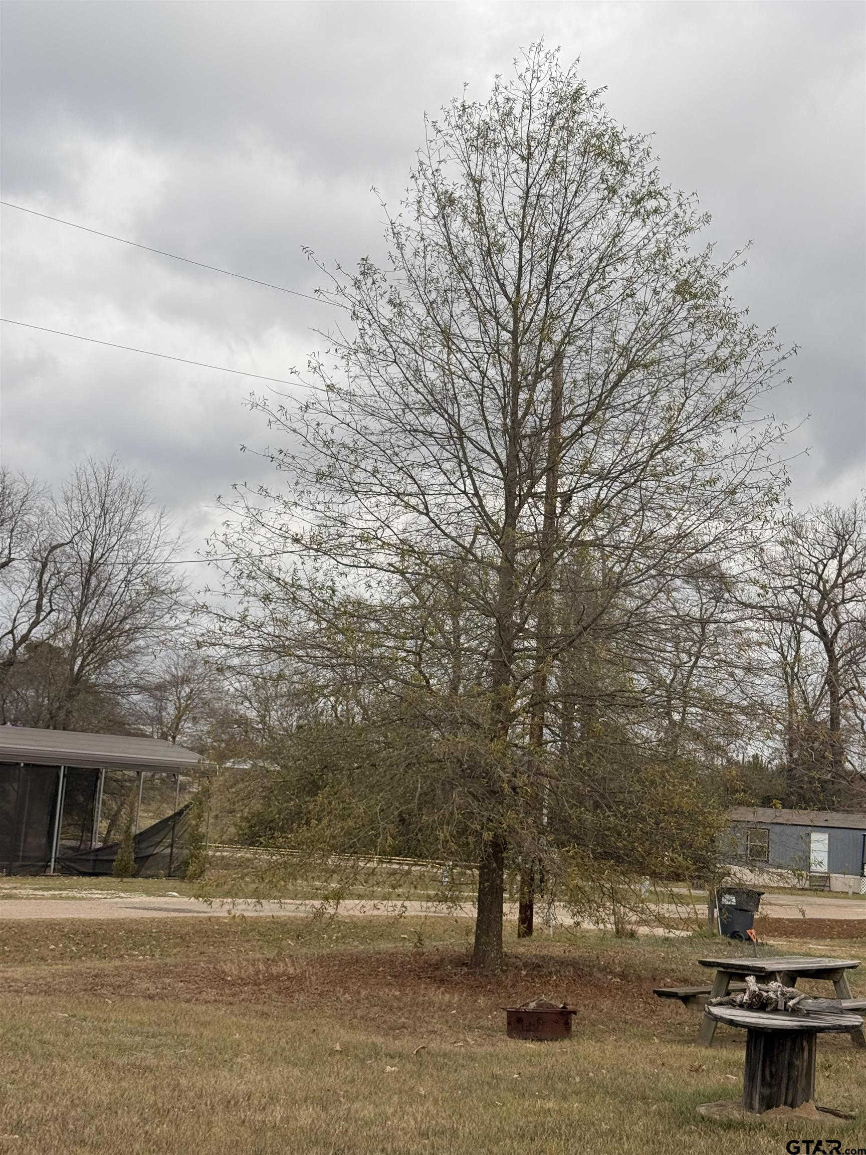 0 Waterfront Row, Unit 213 Quitman, TX 75783 - Photo 16 of 24 a view of a yard with an outdoor space