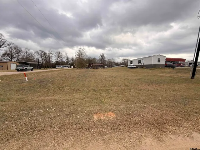 a view of tall trees with a yard