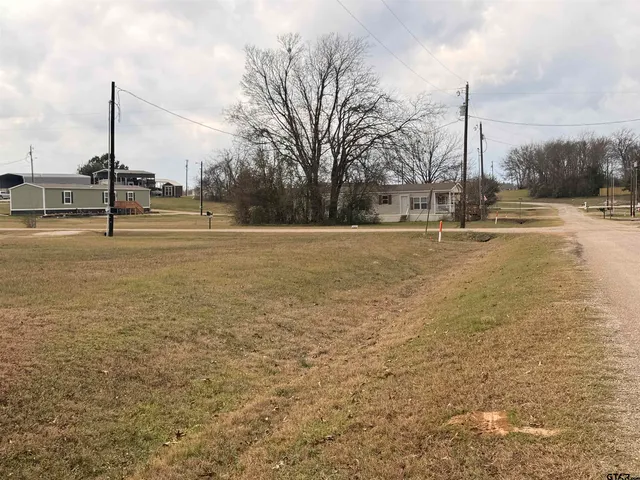 a view of yard with lake and trees