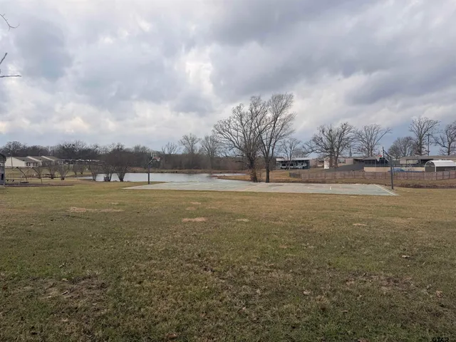 $19,999 | 0 Waterfront Row, Unit 213, Quitman, TX 75783