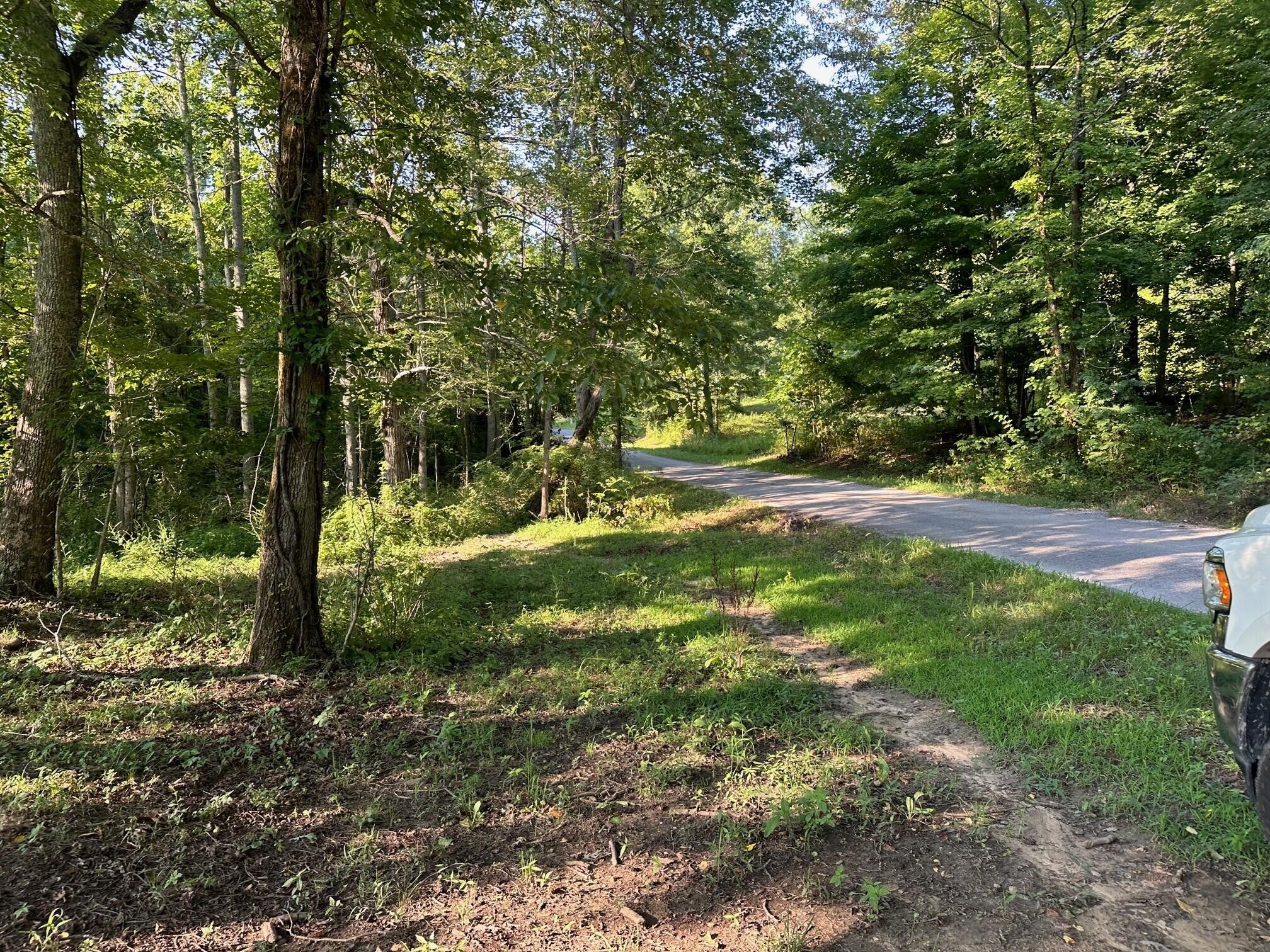 8 Prater Road Pikeville, TN 37367 - Photo 3 of 19 Gallery Image 3