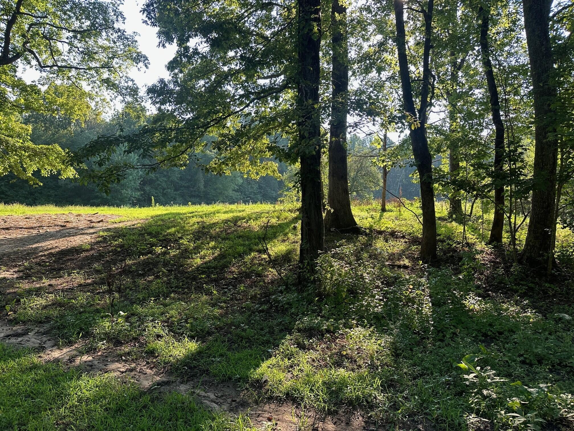 8 Prater Road Pikeville, TN 37367 - Photo 8 of 19 Gallery Image 8