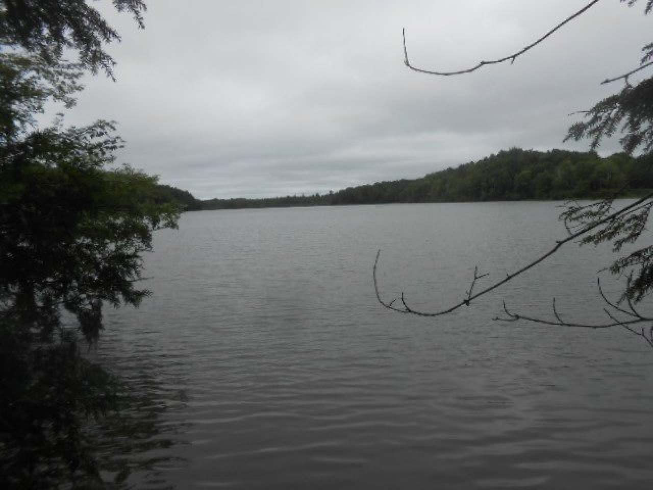 On Highview Lane, Unit LOT 13 Rib Lake, WI 54470 - Photo 1 of 12 Gallery Image 1