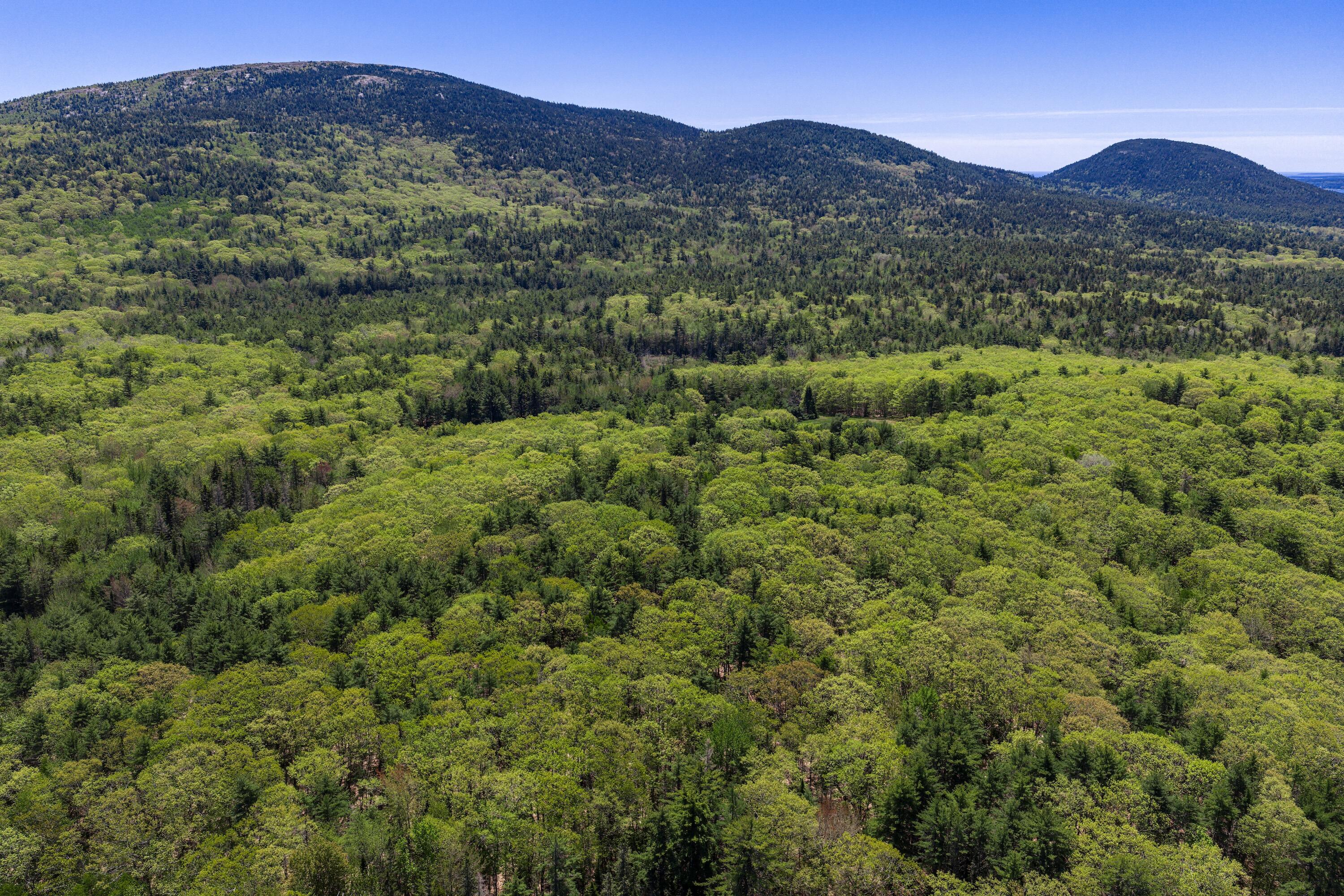 108 Stanley Mountain Road Mount Desert, ME 04660 - Photo 12 of 23 108-Stanley- Mountain-Exterior-17