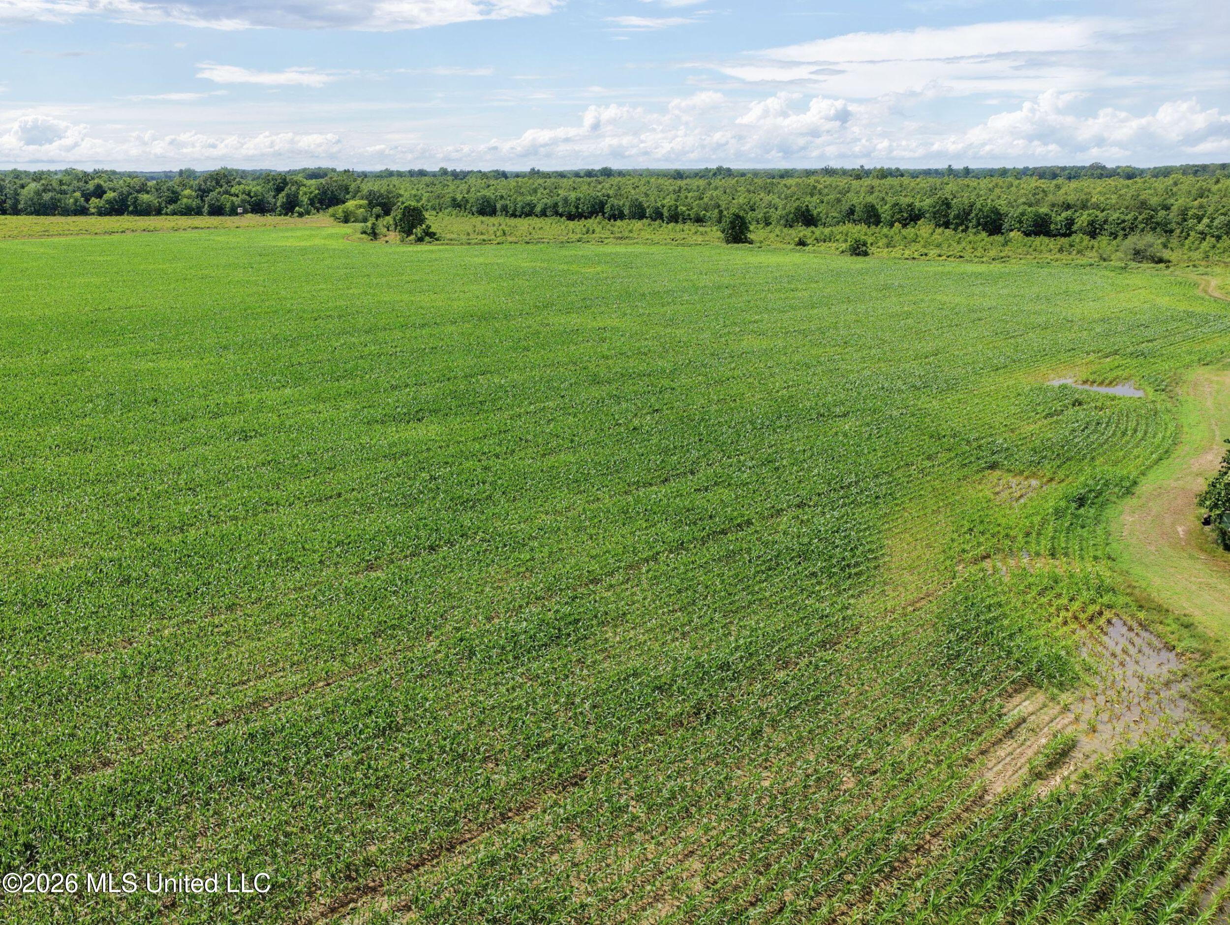 Dummyline Road Batesville, MS 38606 - Photo 32 of 44 2tndllnd18