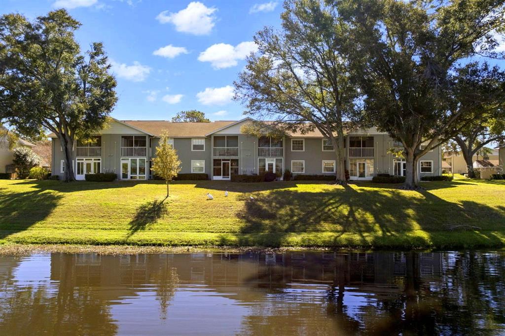 1438 Millstream Lane, Unit 203 Dunedin, FL 34698 - Photo 18 of 60 a view of a house with swimming pool