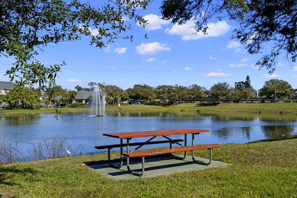 1438 Millstream Lane, Unit 203 Dunedin, FL 34698 - Photo 33 of 60 a view of a lake with houses in the back