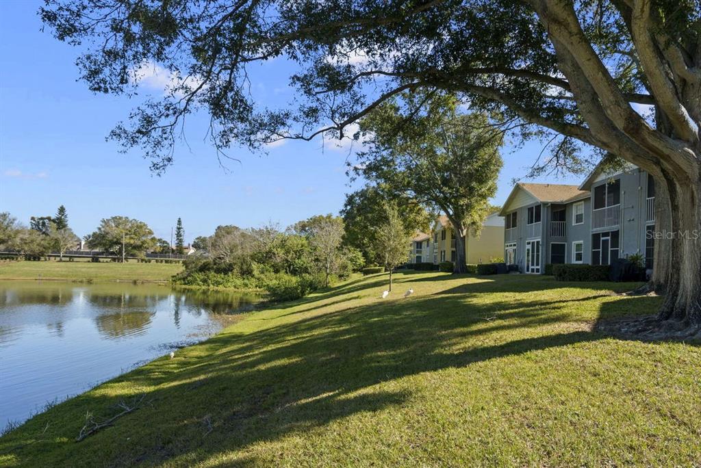 1438 Millstream Lane, Unit 203 Dunedin, FL 34698 - Photo 34 of 60 a view of a lake with a house in the background