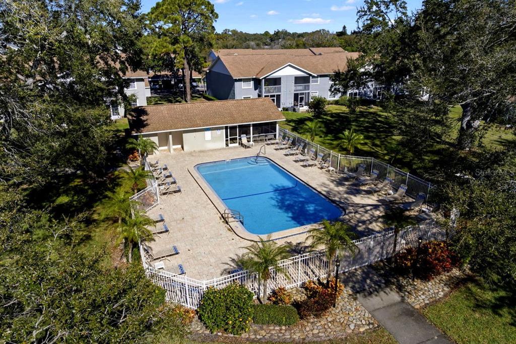 1438 Millstream Lane, Unit 203 Dunedin, FL 34698 - Photo 43 of 60