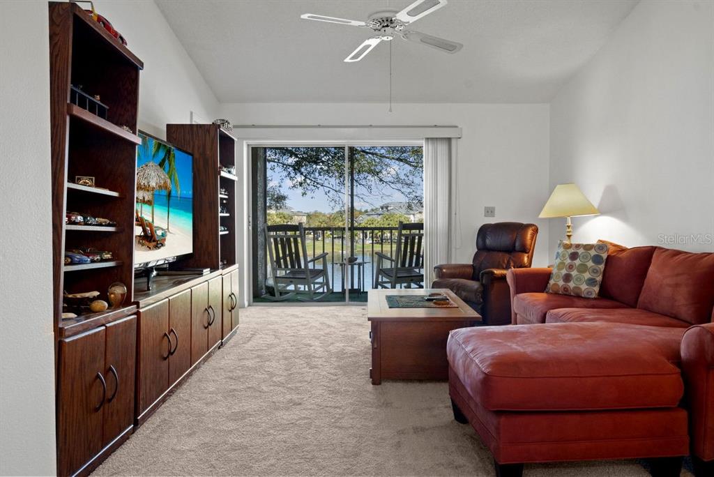 1438 Millstream Lane, Unit 203 Dunedin, FL 34698 - Photo 10 of 60 a living room with furniture a flat screen tv and a large window