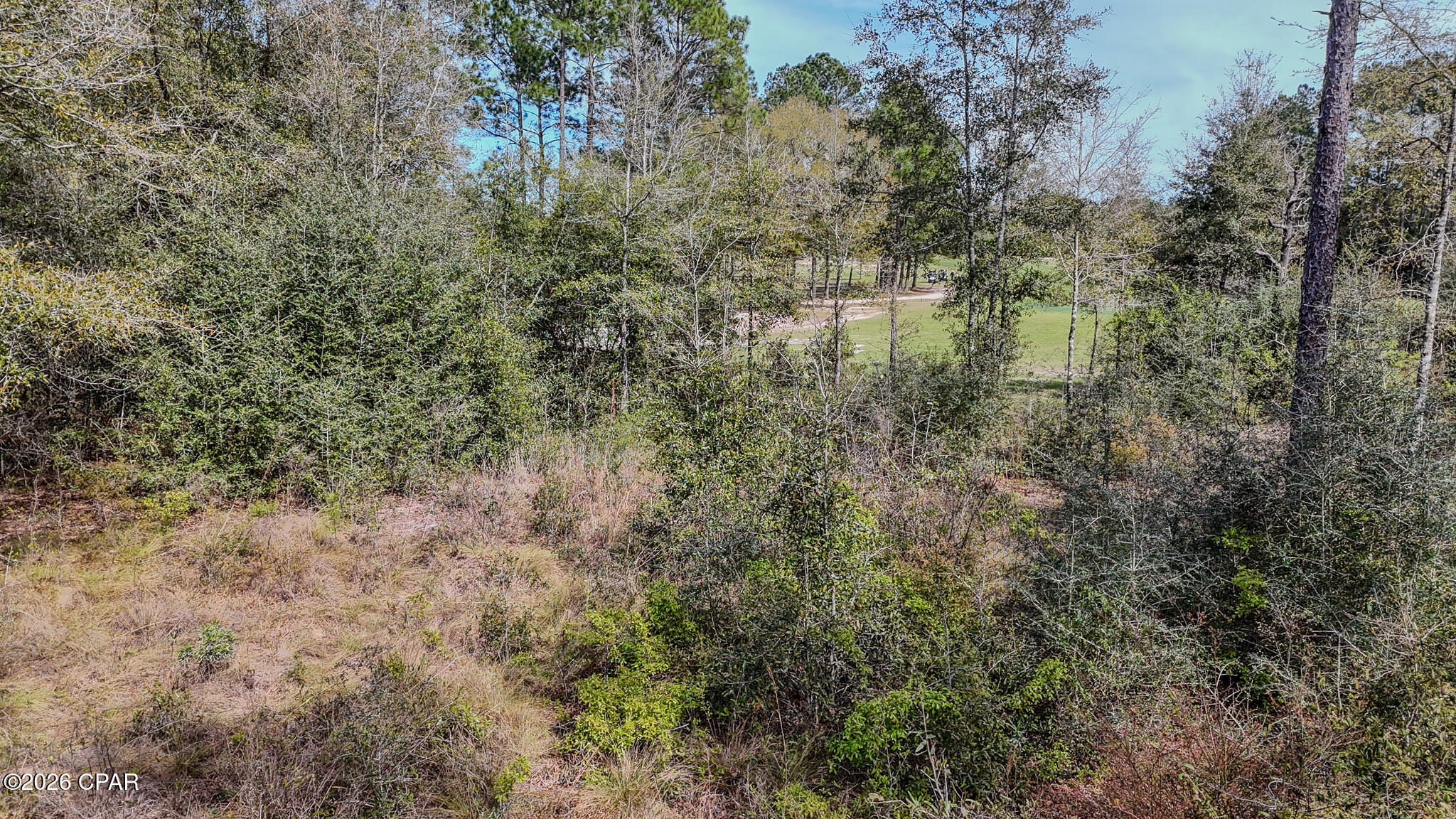 0 Westbrook Drive Chipley, FL 32428 - Photo 5 of 11