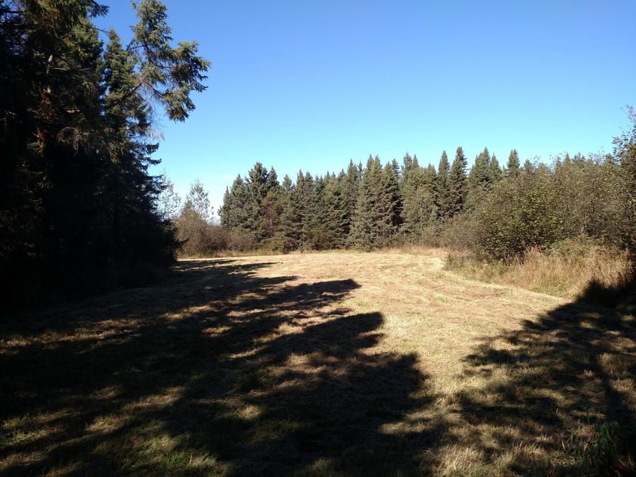 N502 Shauger Road Ogema, WI 54459 - Photo 11 of 52 Gallery Image 11