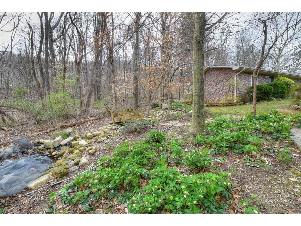 401 Highridge Road Johnson City, TN 37604 - Photo 23 of 26 Photo 23