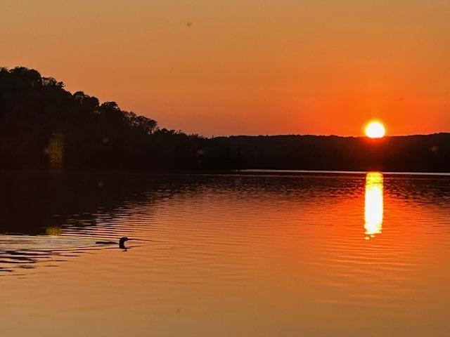 85 Caps Trail Lutsen, MN 55612 - Photo 9 of 94 Ohhh...the Loons!