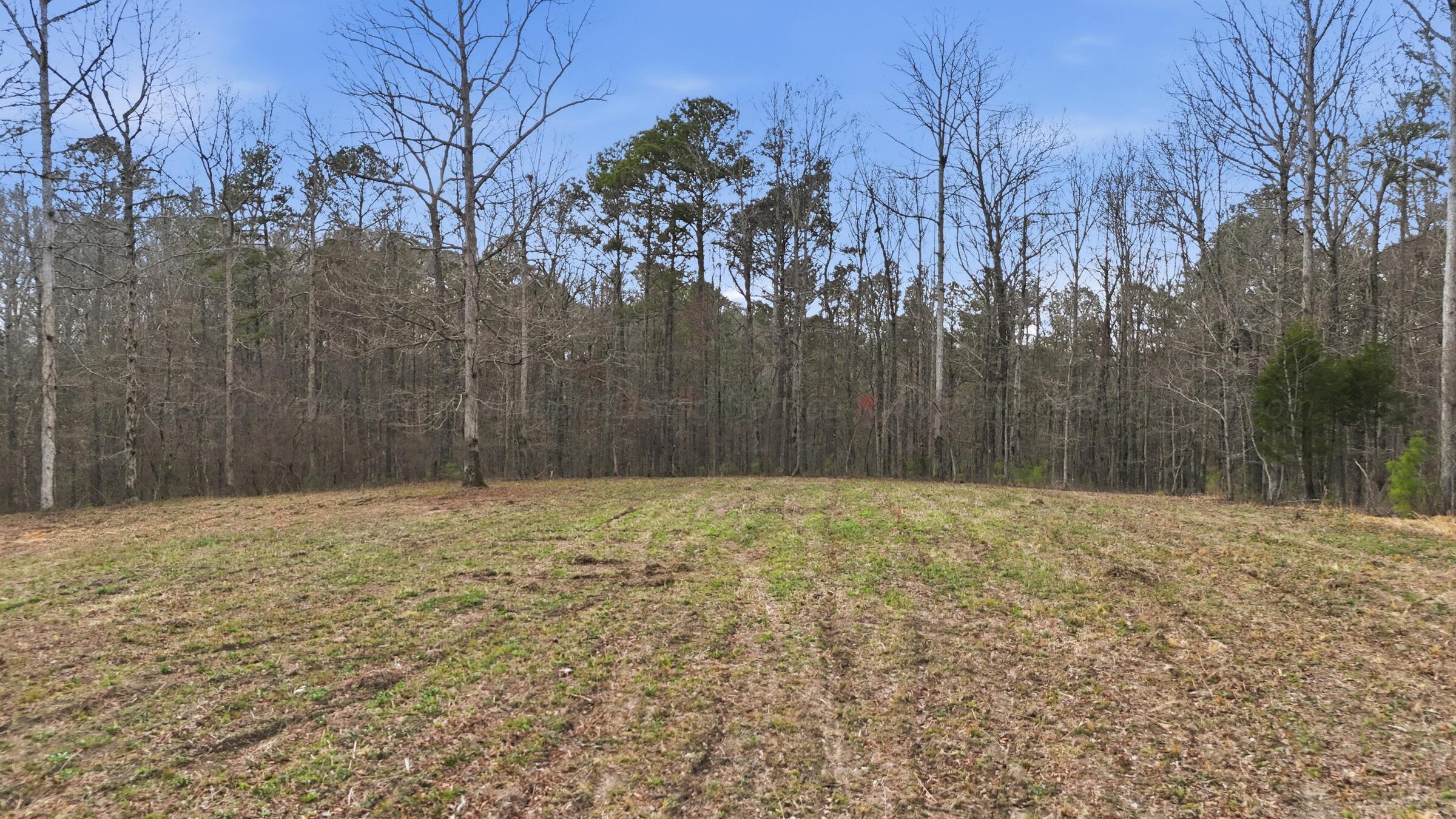 Harbor Loop Jasper, AL 35504 - Photo 4 of 17 Harbor_015_1_(2400)