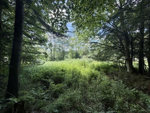 0 Battle Row Road Hyde Park, VT 05655 - Photo 10 of 19
