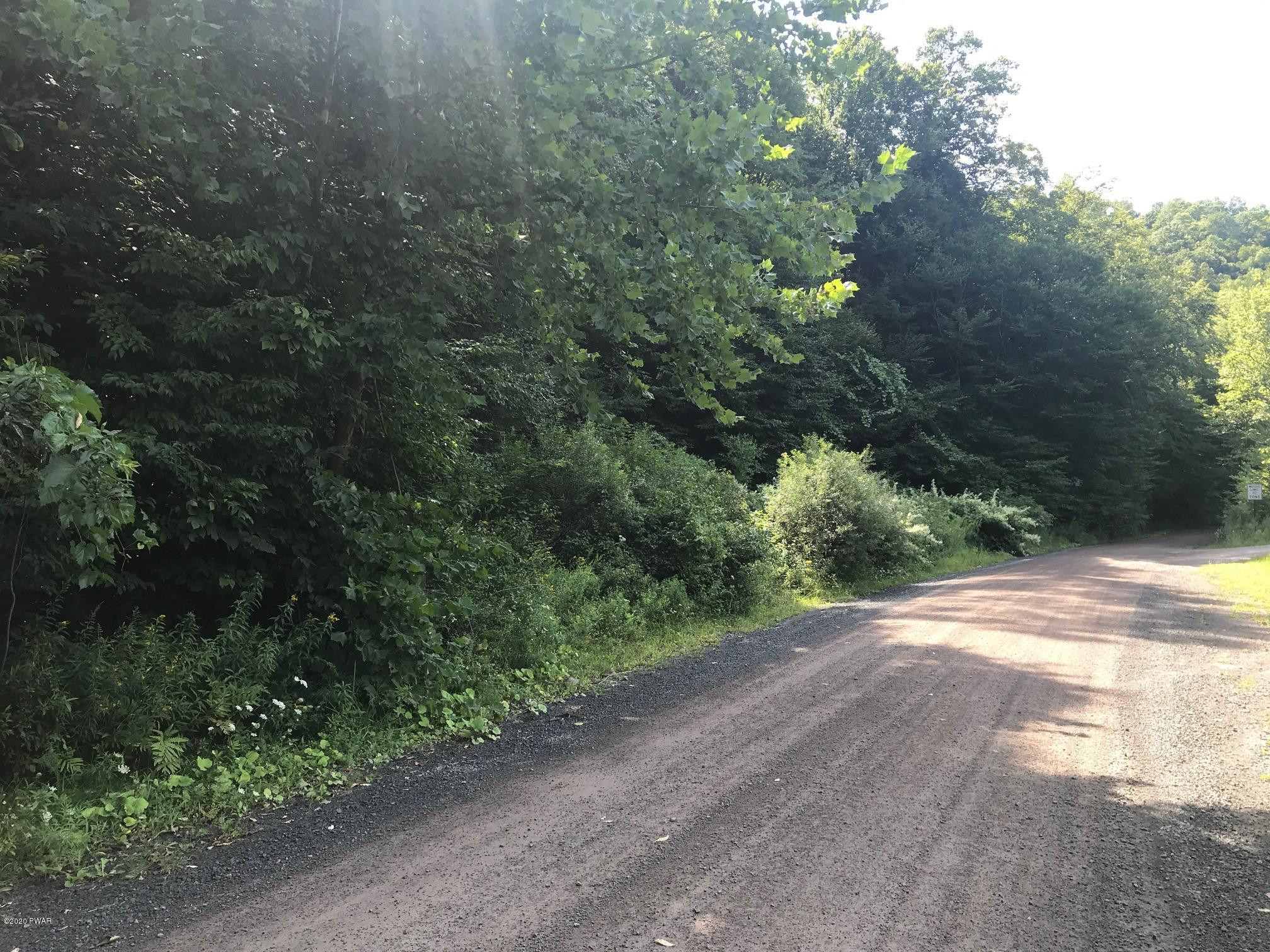 Creek Road Equinunk, PA 18417 - Photo 8 of 9