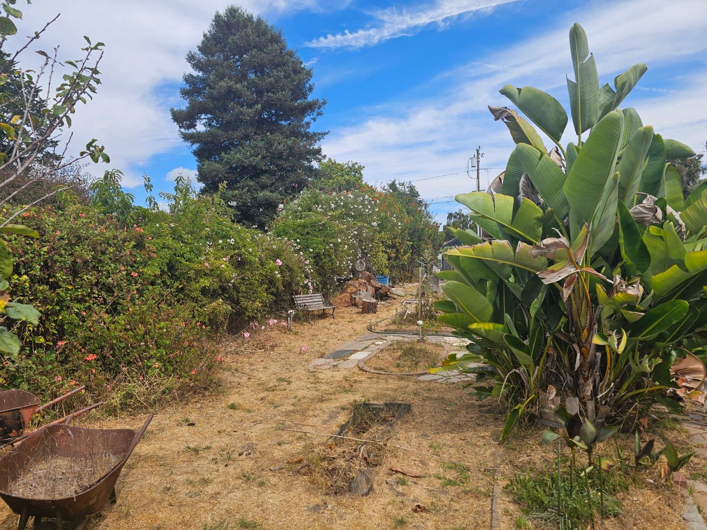 2695 Rosedale Avenue Soquel, CA 95073 - Photo 7 of 11 Gallery Image 7