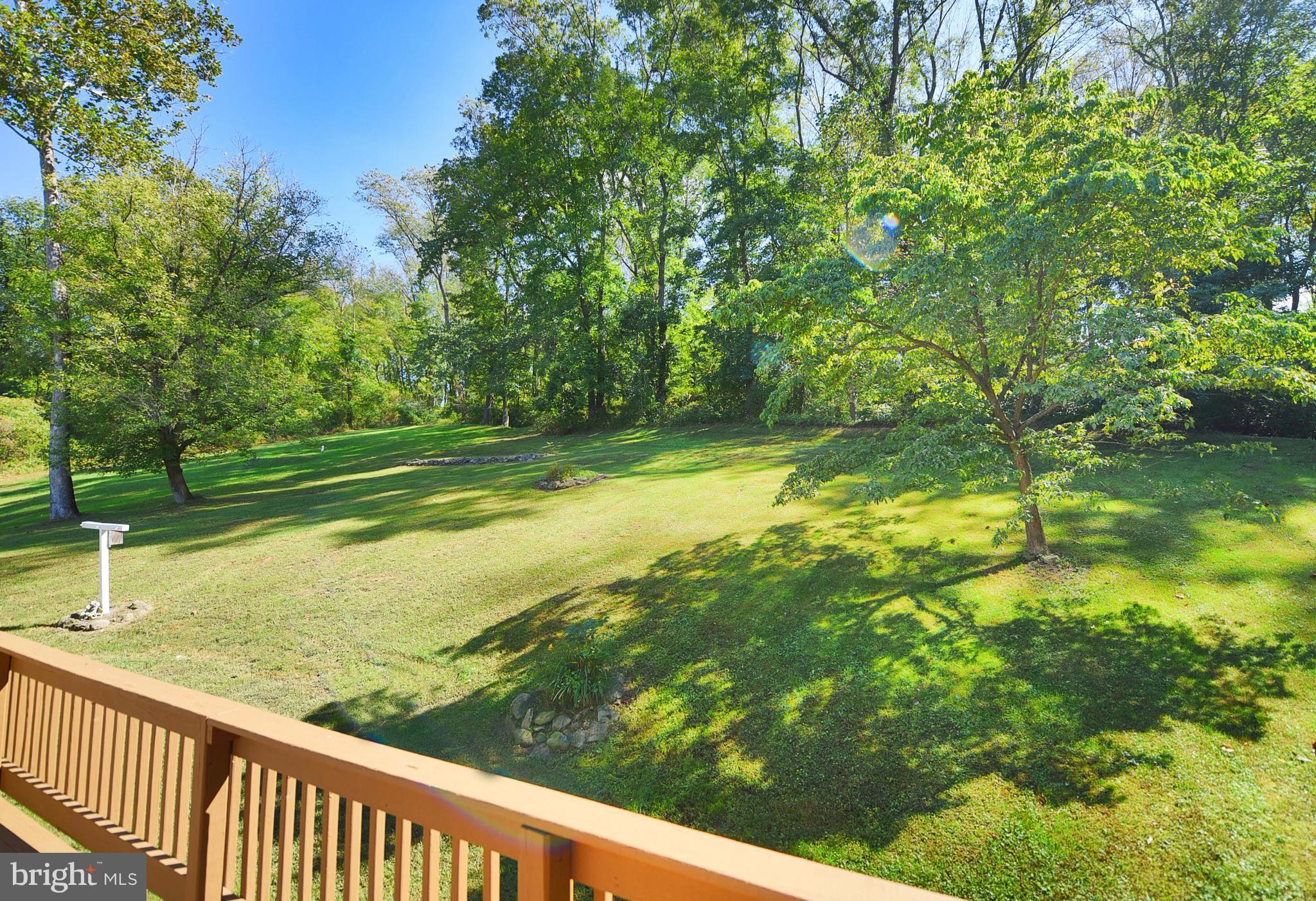 40 Porters Bridge Road Colora, MD 21917 - Photo 18 of 23 Yard Backs to Woods