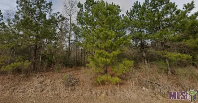 $15,000 | 30211 Jericho Drive, Albany, LA 70711