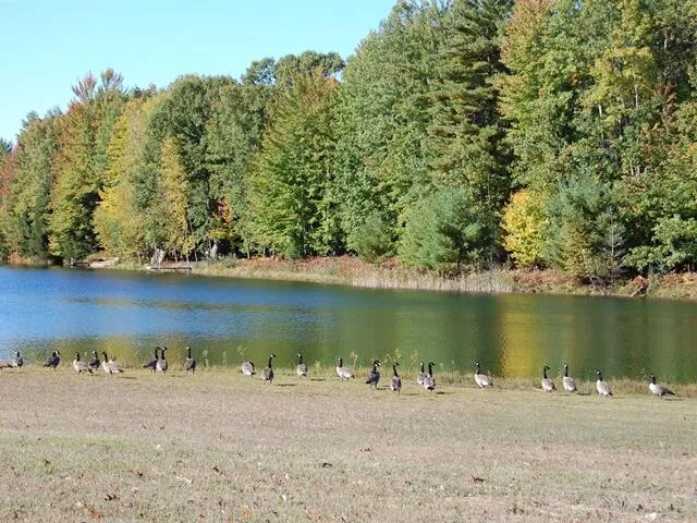 $9,900 | 6964 Club House Drive East, Stanwood, MI 49346