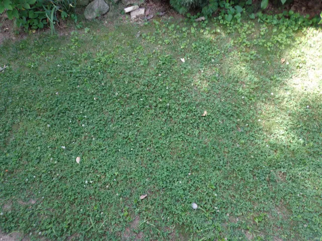 $70,000 | 1701 North Coliseum Boulevard, Fort Wayne, IN 46805