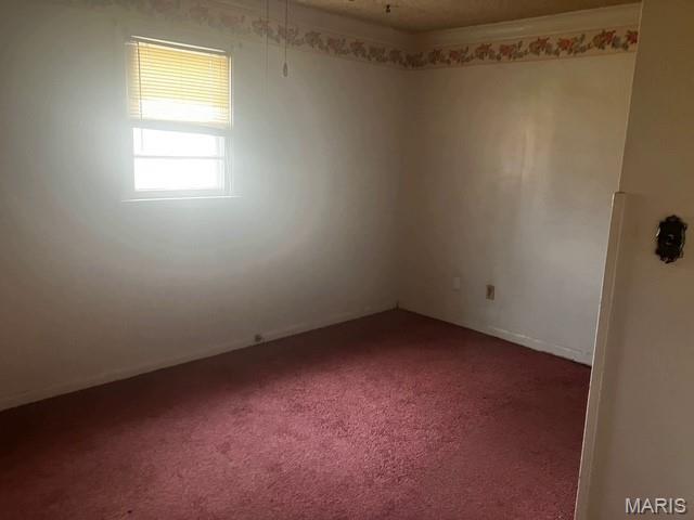 732 Digges Place New Madrid, MO 63869 - Photo 6 of 11