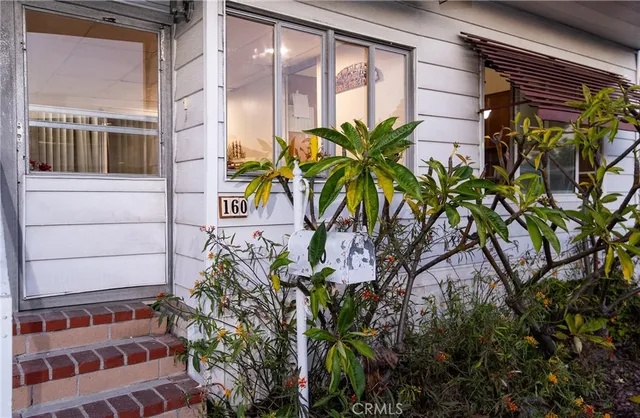 a plant that is in front of a building