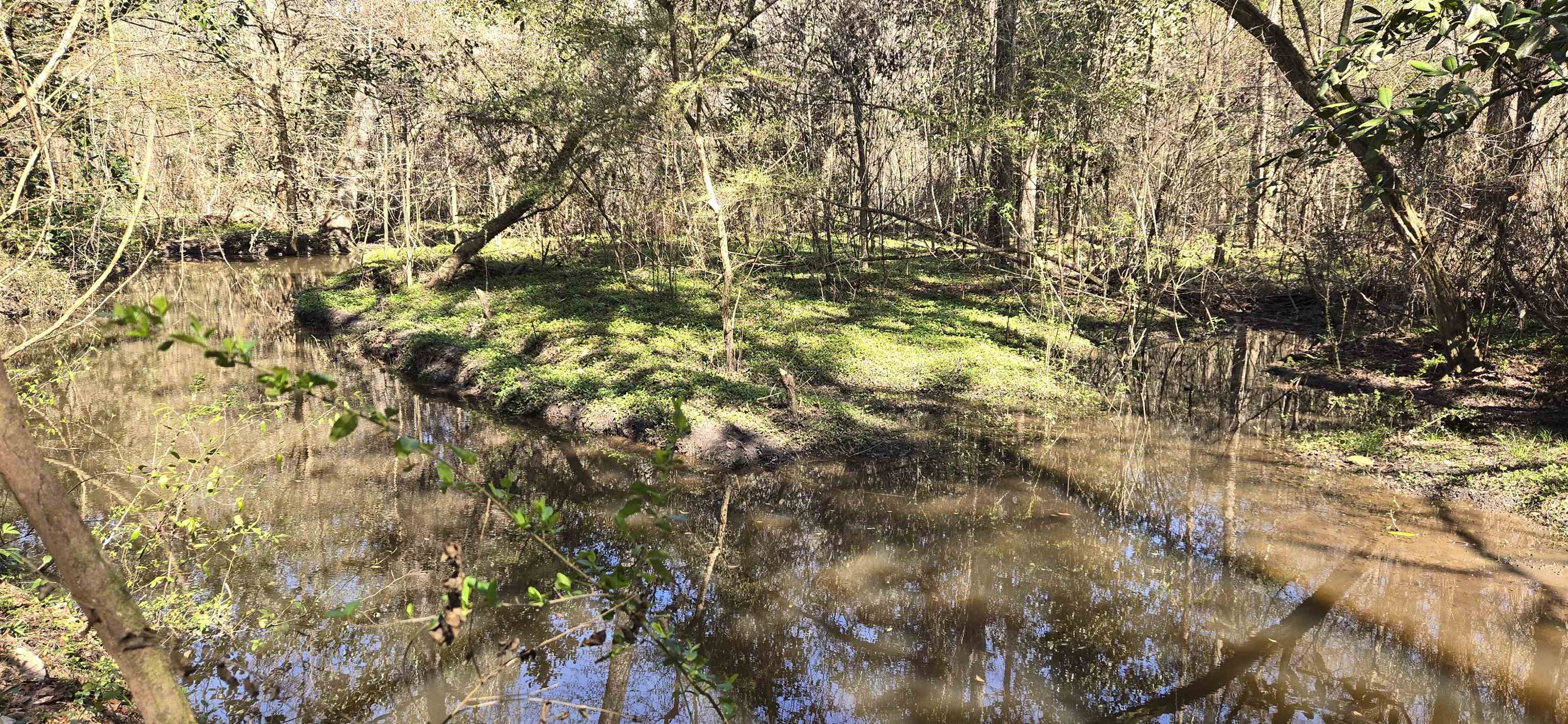 1450 Deer Run Road Havana, FL 32333 - Photo 1 of 21 Gallery Image 1