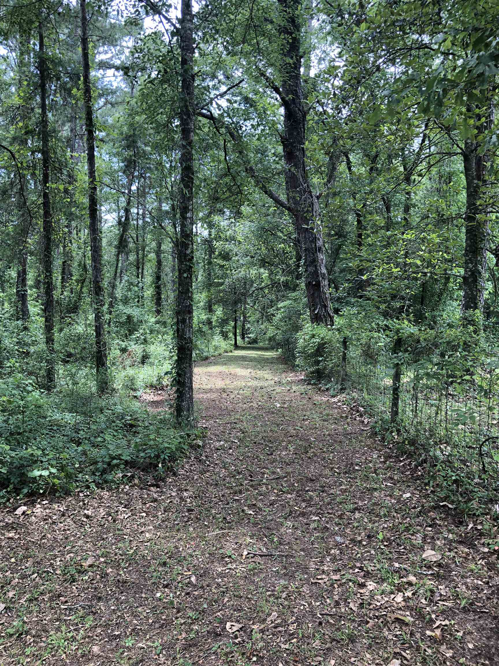 1450 Deer Run Road Havana, FL 32333 - Photo 12 of 21 Gallery Image 12