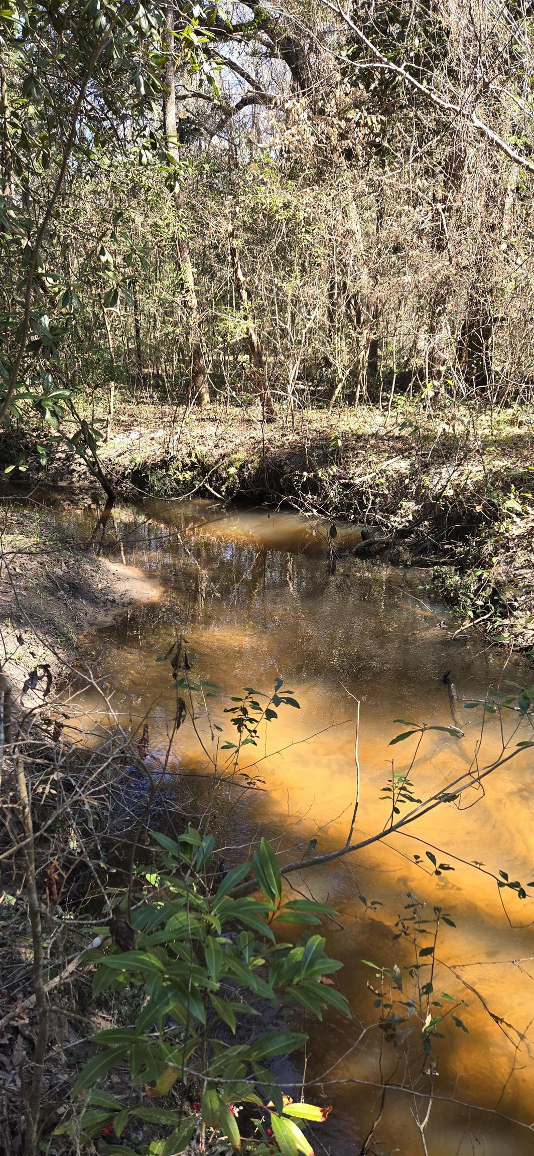 1450 Deer Run Road Havana, FL 32333 - Photo 3 of 21 Gallery Image 3