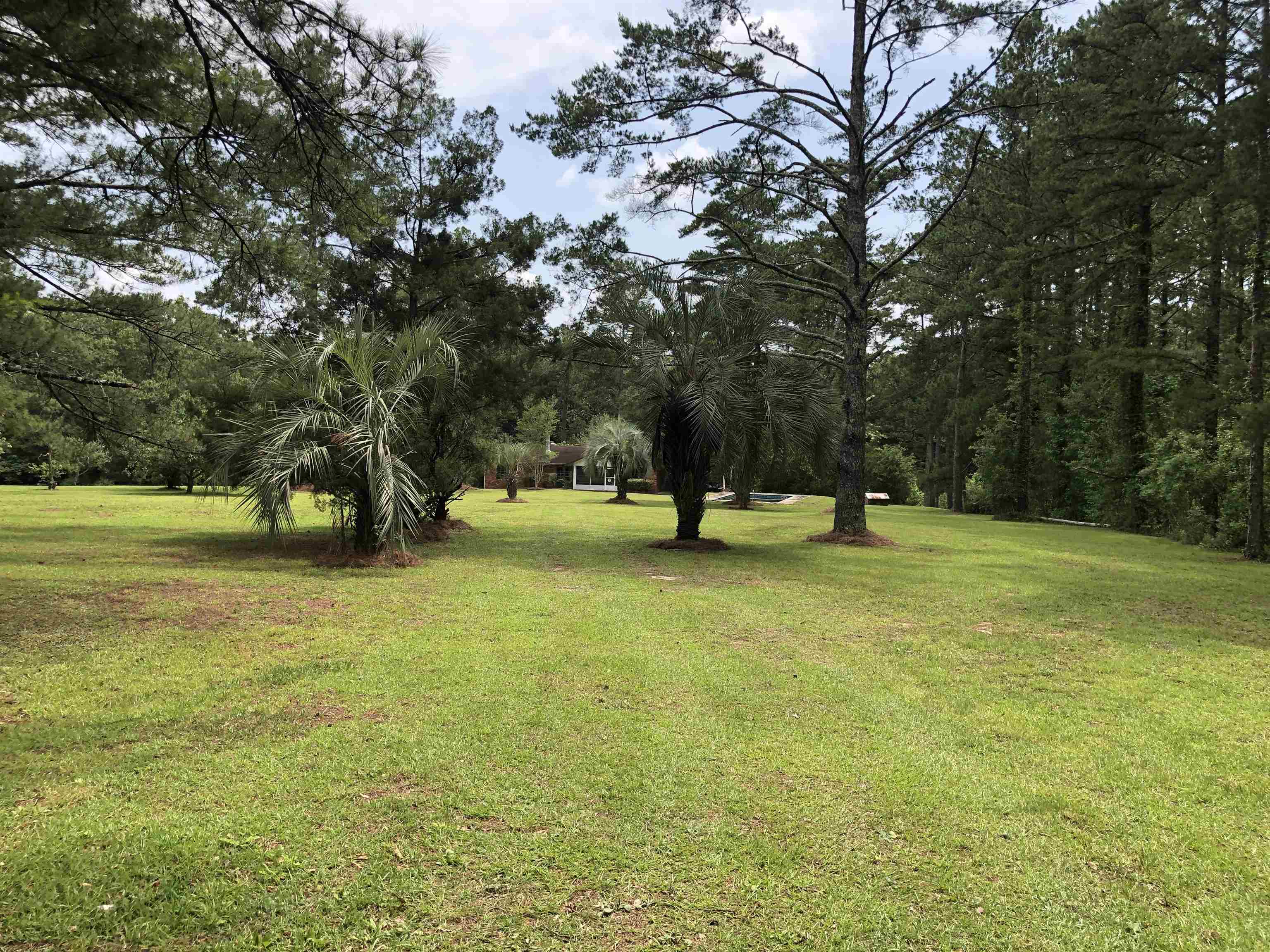 1450 Deer Run Road Havana, FL 32333 - Photo 10 of 21 Gallery Image 10
