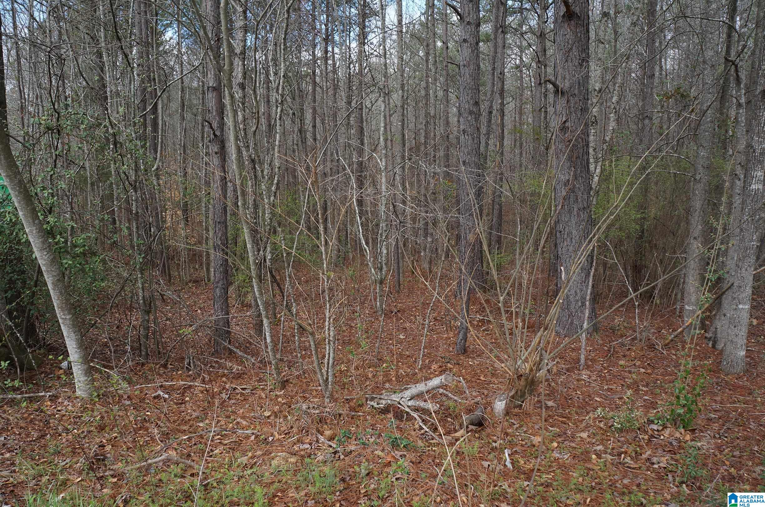 0 Pebble Point, Unit 6 Sylacauga, AL 35151 - Photo 5 of 8