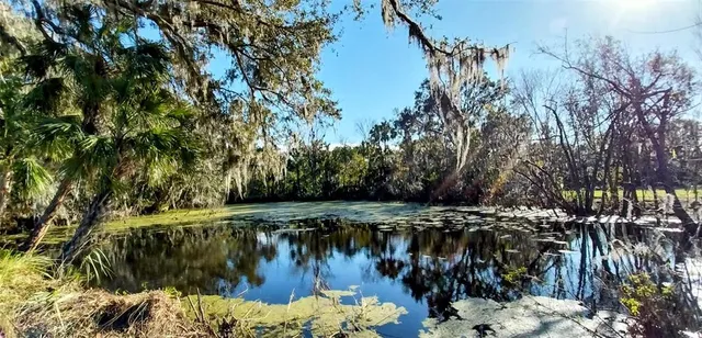a view of outdoor space with trees
