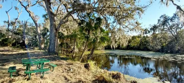 a view of a yard with a trees