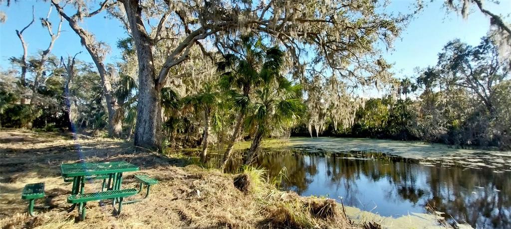 11105 Winn Road Riverview, FL 33569 - Photo 14 of 23