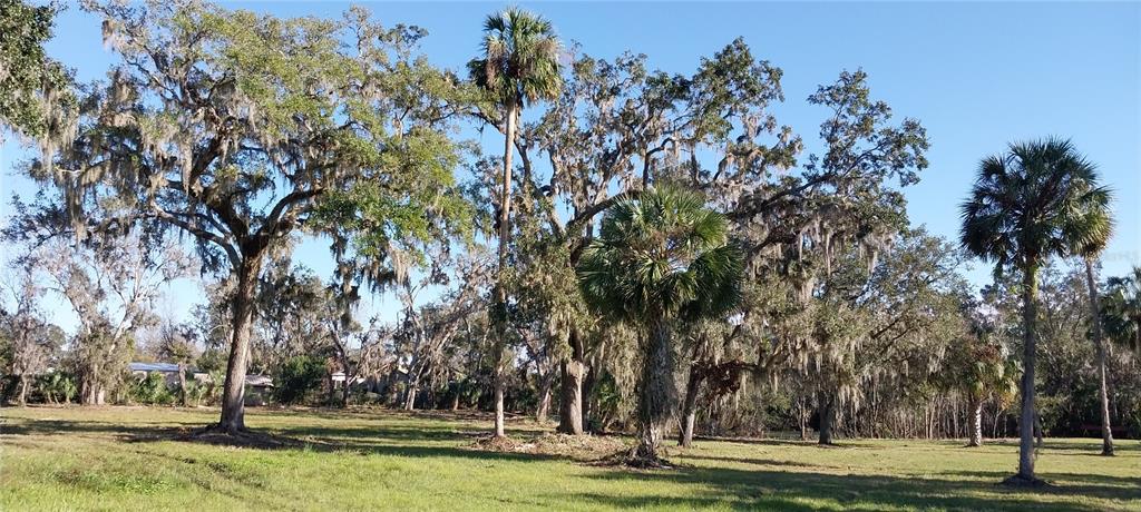11105 Winn Road Riverview, FL 33569 - Photo 16 of 23 a view of a yard with a trees