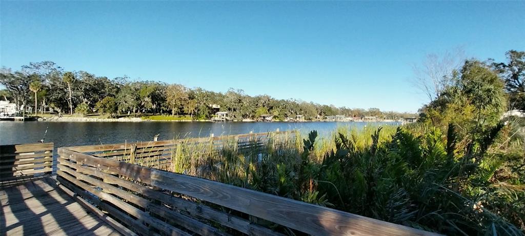 11105 Winn Road Riverview, FL 33569 - Photo 22 of 23 a view of a lake with houses in the back