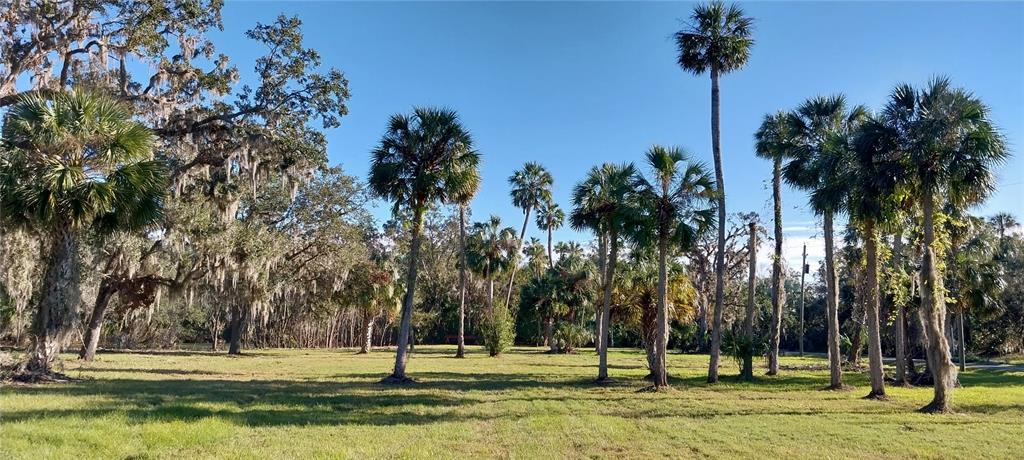 11105 Winn Road Riverview, FL 33569 - Photo 3 of 23 a view of a park