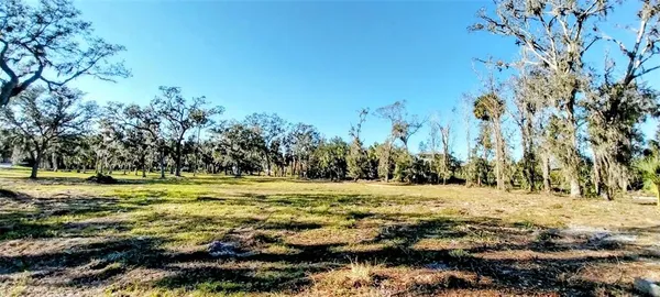 a view of yard with trees